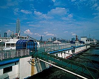 《溯源之惧：铁皮林瞭望塔》Steam发售 综合评价“特别好评'